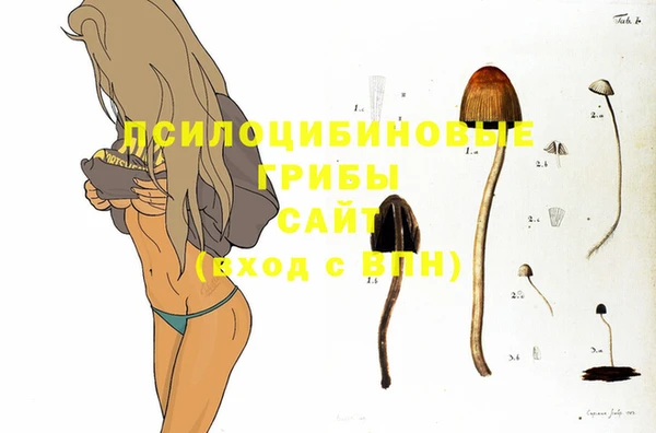 стафф Алзамай