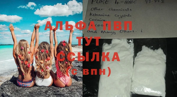 сатива Алексеевка