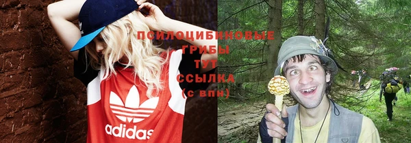 2c-b Аркадак