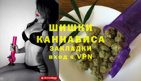 стафф Алзамай